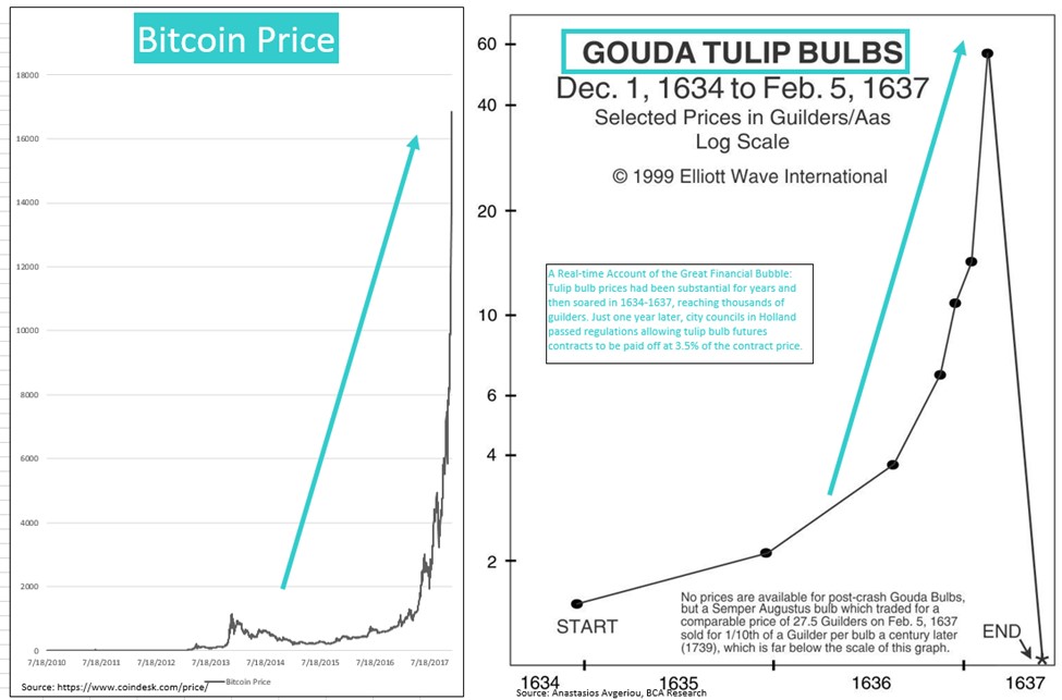 tulip mania bitcoin